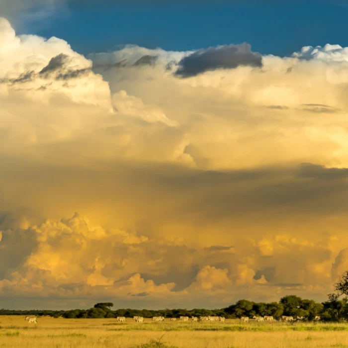 Botswana's Celestial Canvas: Top Spots for Unforgettable Stargazing & Night Photography