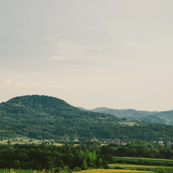 Discover Serbia's Hidden Gems: The Ultimate Guide to Underground Bars