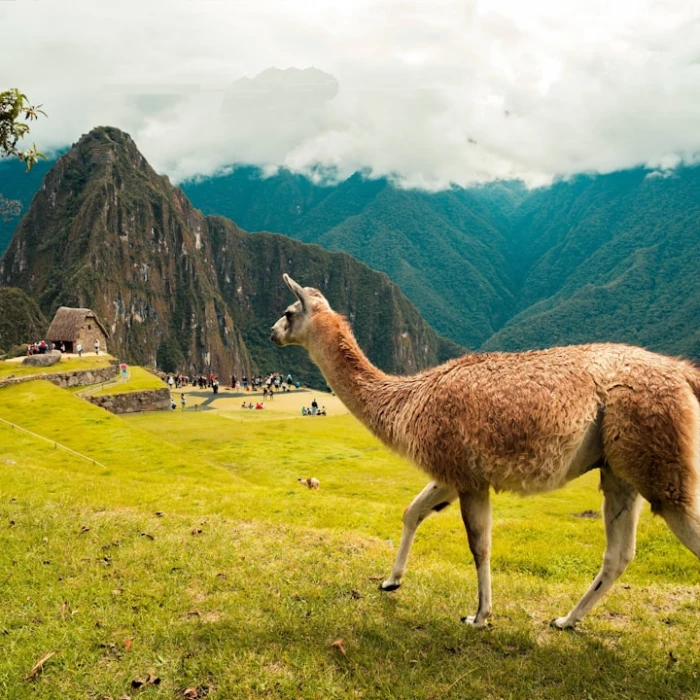 Mastering Money in Peru: Your Essential Guide to Soles & Smart Currency Exchange