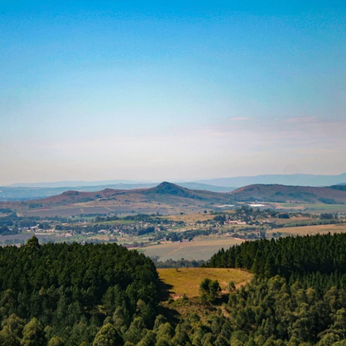 Top 5 Luxury Resorts for a Dream Vacation in Swaziland