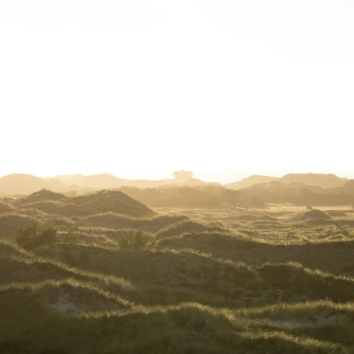 Unlock Denmark: Essential Danish Phrases Every Traveler Needs