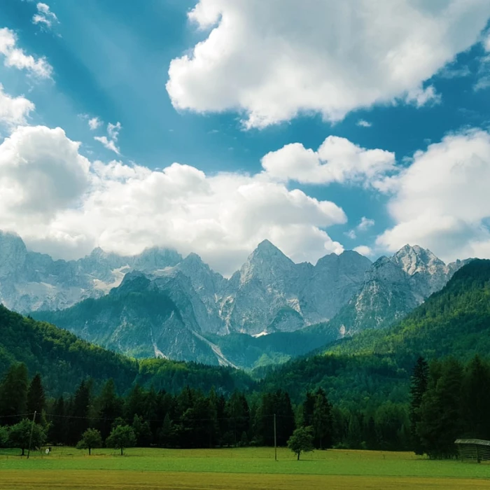 Getting Around Slovenia: A Beginner's Guide to Public Transport