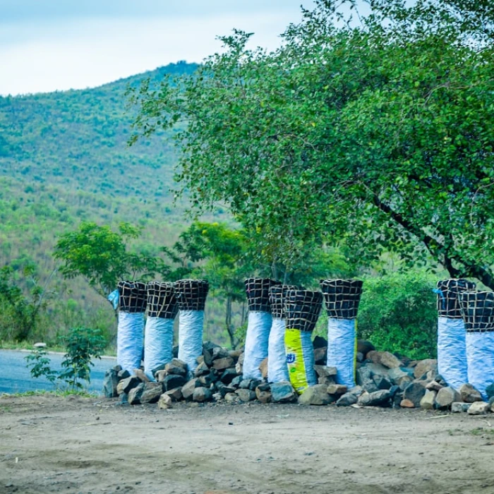 Discover Malawi's Iconic Legacy: A Guide to Its Most Famous Statues and Monuments