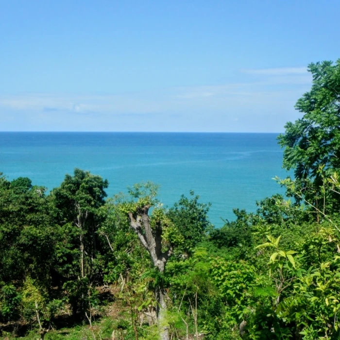 Discover Haiti: The Ultimate 2-Week Itinerary for Adventure & Culture