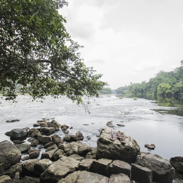 Discover Gabon's Hidden Gems: Unforgettable Day Trips from Its Major Cities
