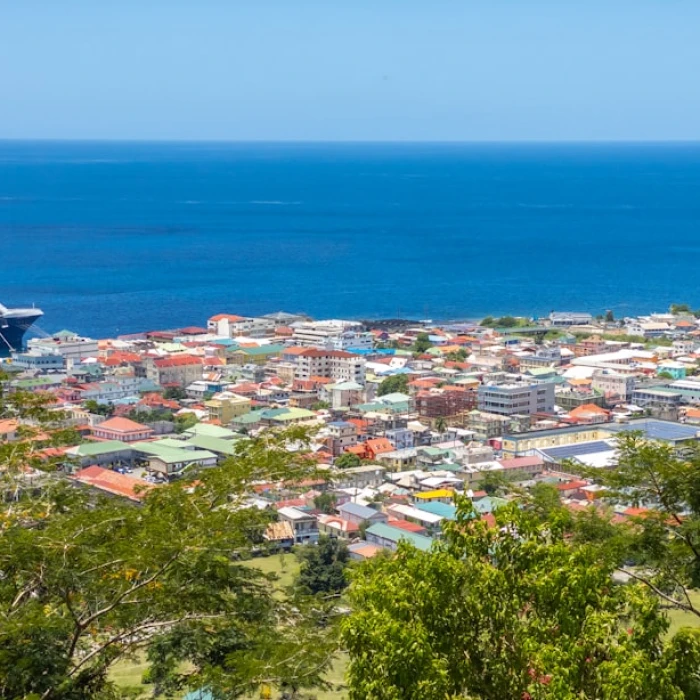 How to Use Local Delivery Apps in Dominica for Ultimate Convenience
