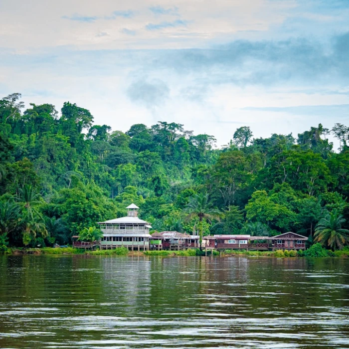 Discover Gabon's Living Heritage: Top Open-Air Museums Worth Exploring