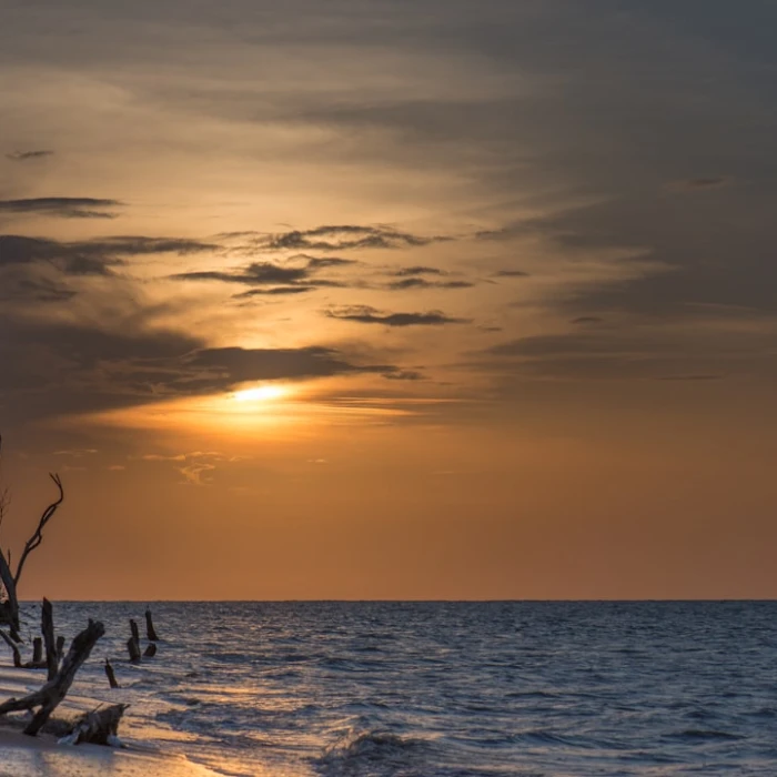Uncorking Suriname: A Wine Lover's Unexpected Journey Beyond Traditional Vineyards