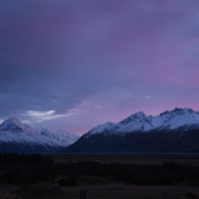 Navigating New Zealand's Public Transport: Your Essential App Guide
