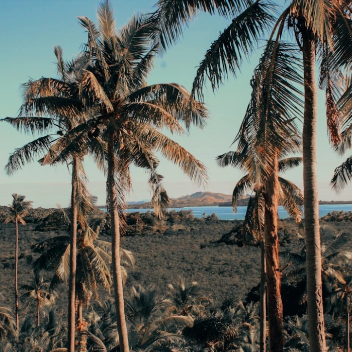 How to Experience Fiji Like a Local, Not a Tourist