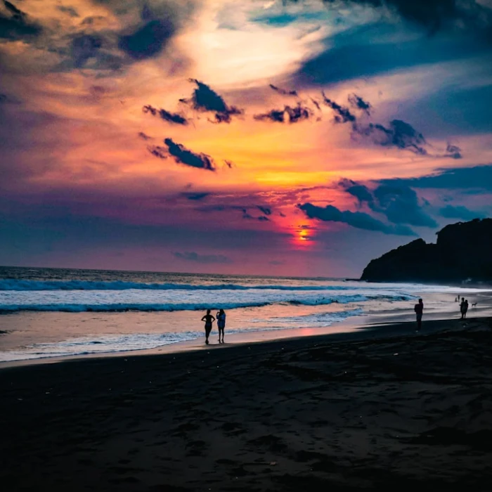 Discover El Salvador: Your Ultimate Guide to Whale & Dolphin Watching