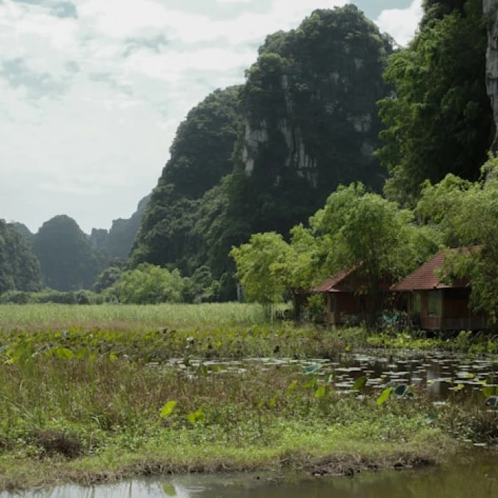 Unplug & Reconnect: Asia's Ultimate Digital Detox Destinations