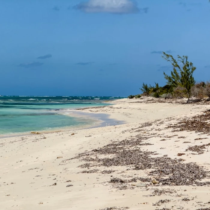 Sweet Escapes: Unearthing the Best Chocolate Shops in Turks & Caicos