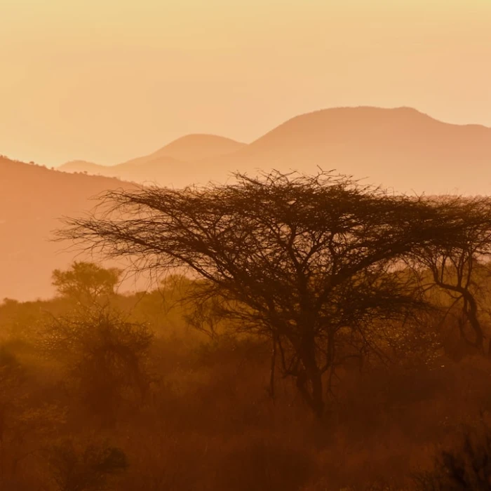 Understanding Africa: Essential Cultural Etiquette for Tourists