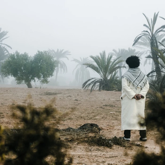 Unveiling Tunisia's Architectural Wonders: An Architect's Guide to Must-See Buildings
