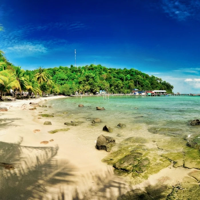 Discover Cambodia's Marine Life: The Best Spots for Whale and Dolphin Watching
