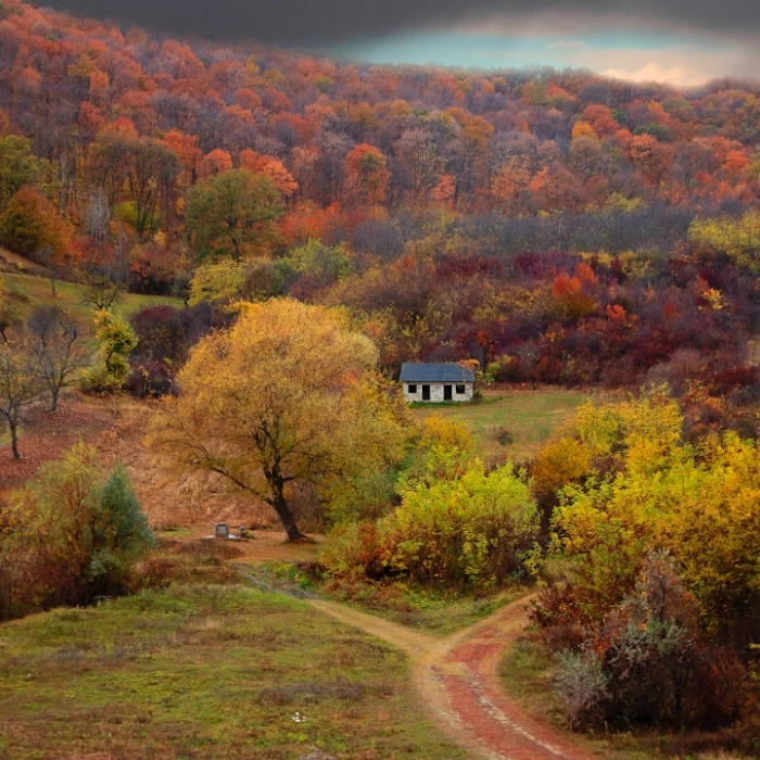 Discover Moldova's Hidden Gems: A Guide to Its Most Famous Courtyards