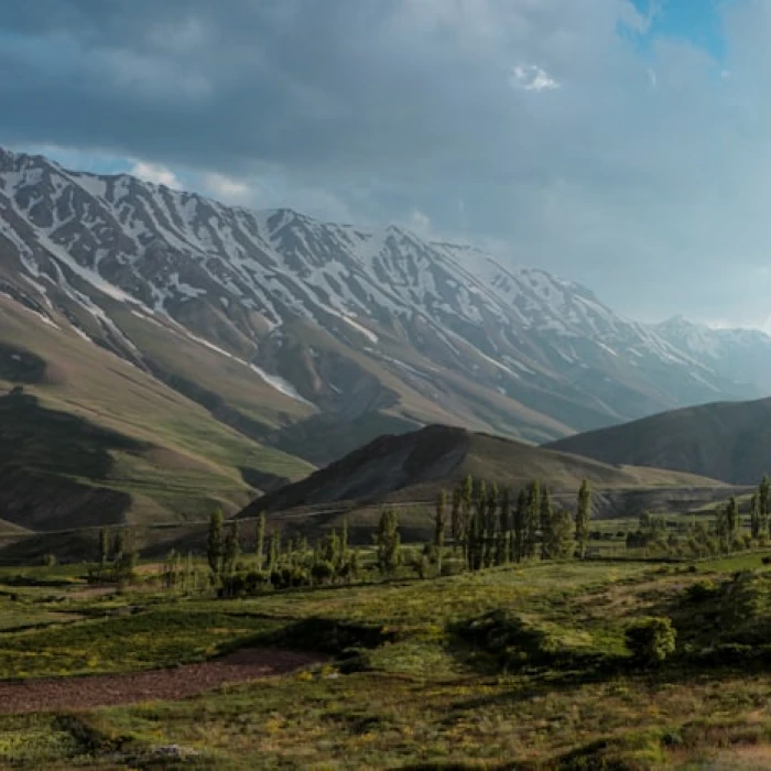 Wild CIS Revealed: Best Places for Incredible Wildlife Spotting Adventures
