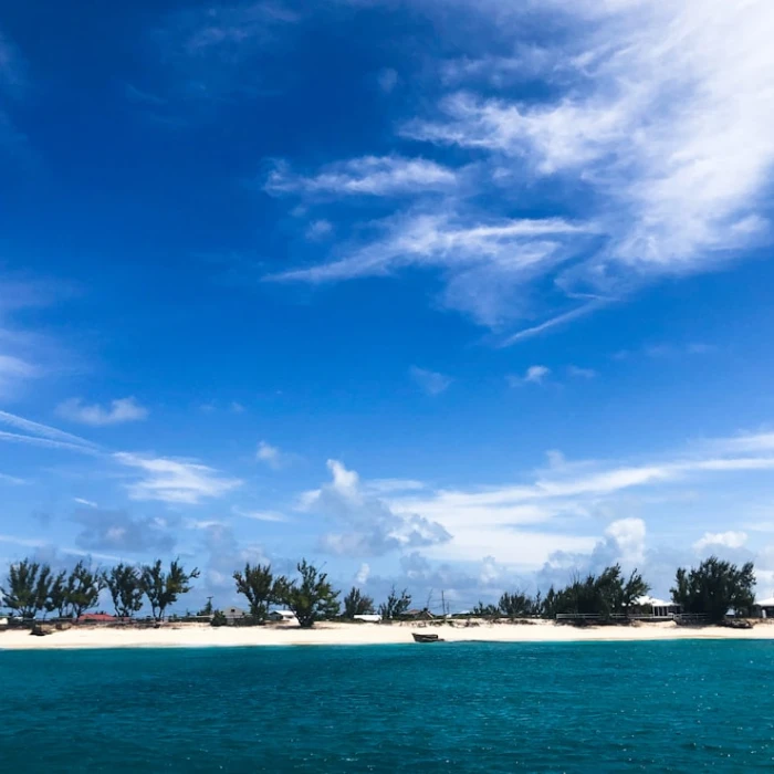 Discover Turks and Caicos' Hidden Charm: A Guide to Its Most Beautiful Courtyards