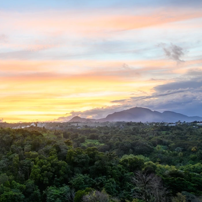 How to Find the Best Local Night Markets in Dominica