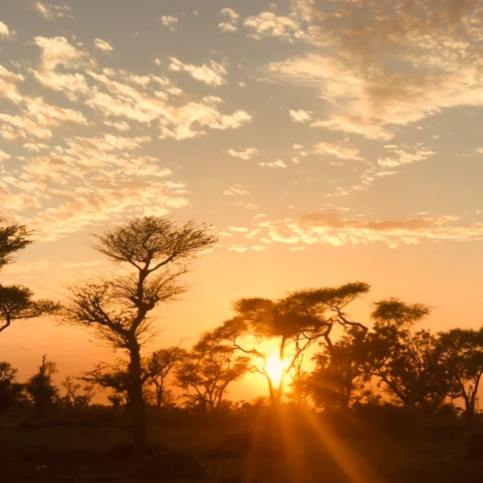 Unlocking Senegal's Best: When to Visit for Absolutely Perfect Weather