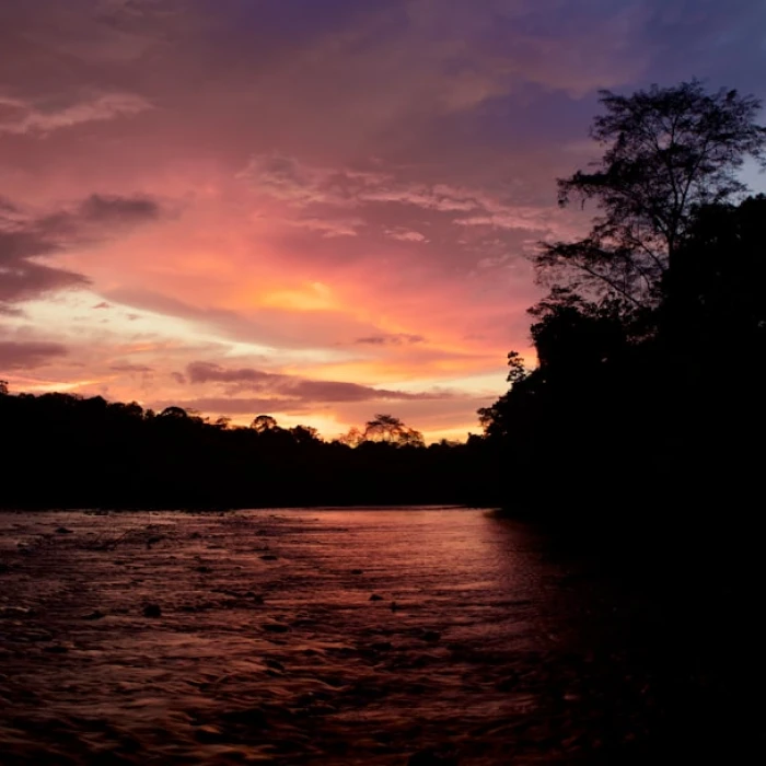 How to Stay Healthy and Avoid Getting Sick in Brunei Darussalam