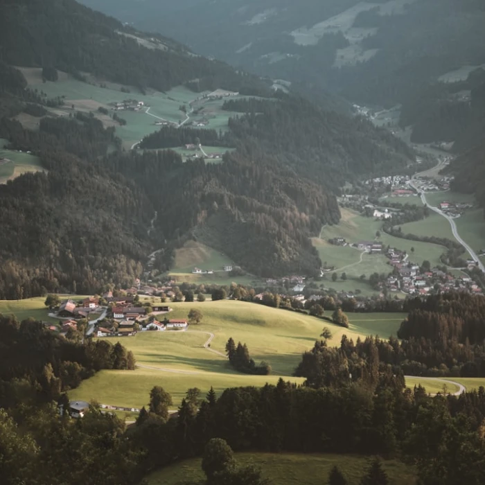Whale and Dolphin Watching in Austria: Unveiling the Truth and Discovering Europe's Marine Wonders