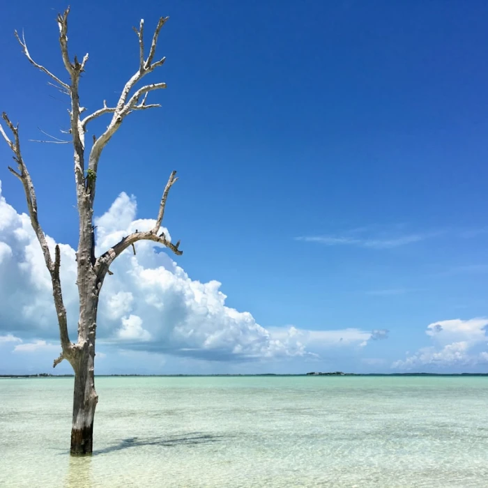 Discover the Bahamas' Iconic Ports & Harbors: Your Ultimate Guide