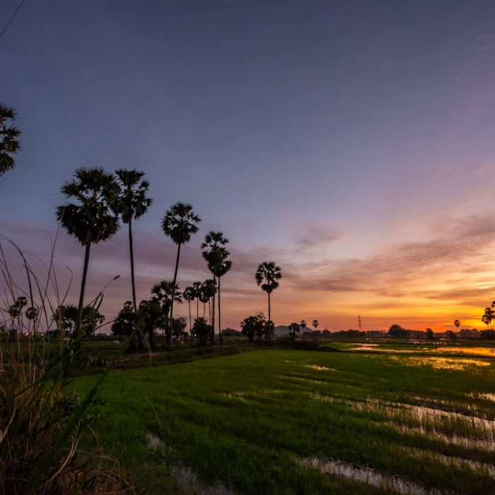 Discover Cambodia's Top Kayaking & Canoeing Spots: An Adventurer's Guide