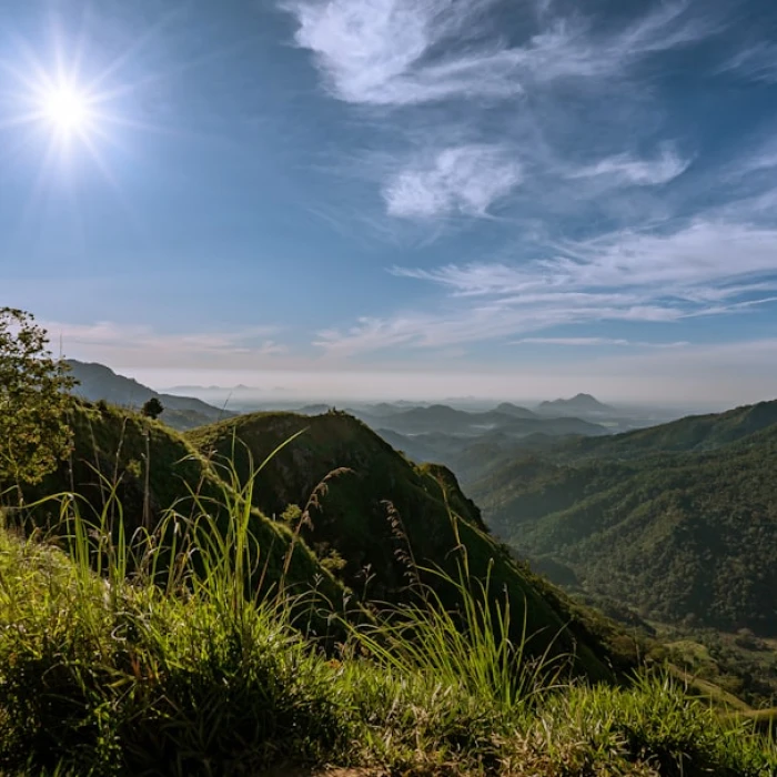 Discover Sri Lanka: Top 10 Must-Buy Souvenirs & Gifts for Tourists