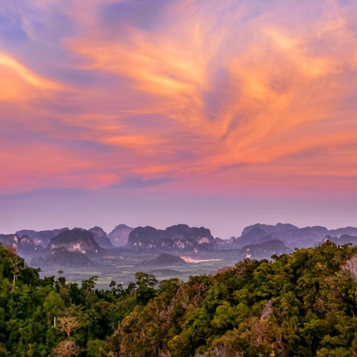Unveiling Asia's Top Birdwatching Paradises: Your Ultimate Guide to Avian Adventures