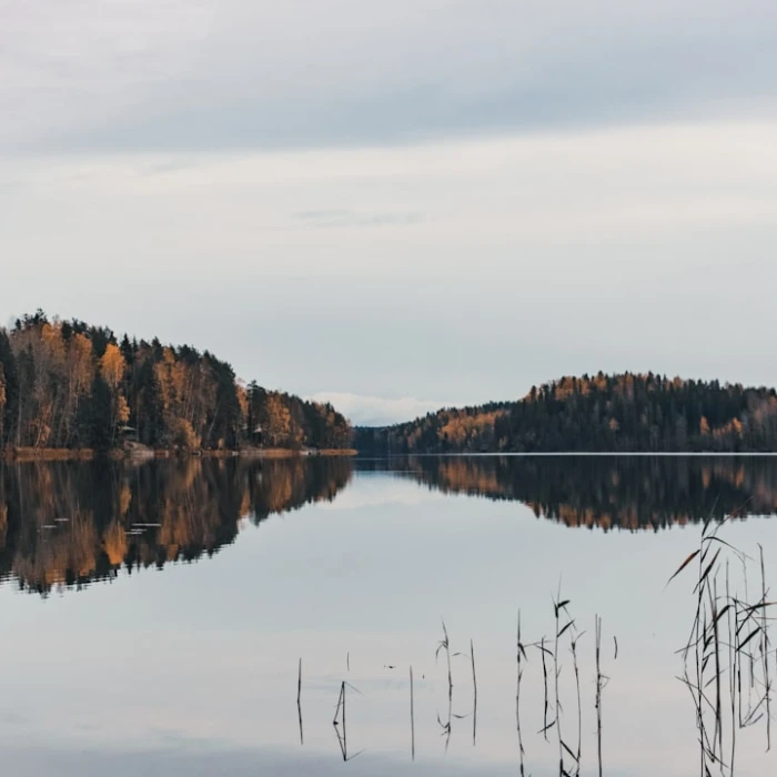 Navigating Finances in Finland: Your Essential Guide to Money & Currency Exchange