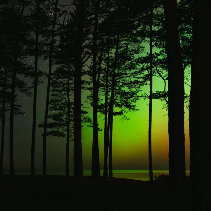 Discover Estonia's Best Scenic Drives: Unforgettable Road Trips & Hidden Gems