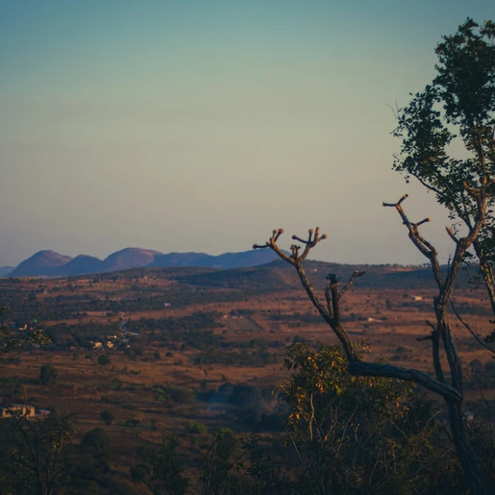 Unveiling Zambia's Vibrant Traditional Music & Dance: A Journey Through Culture