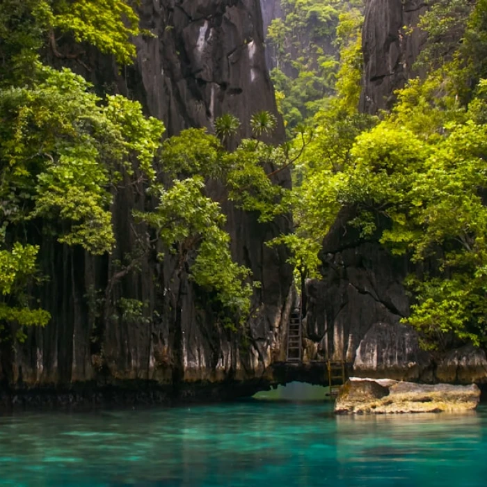 Discover the Best Local Fruit Markets in the Philippines: A Tropical Paradise Awaits!