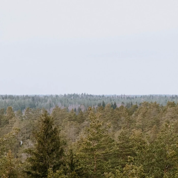 Discover Latvia's Cultural Gems: Top Museums & Art Galleries You Must Visit