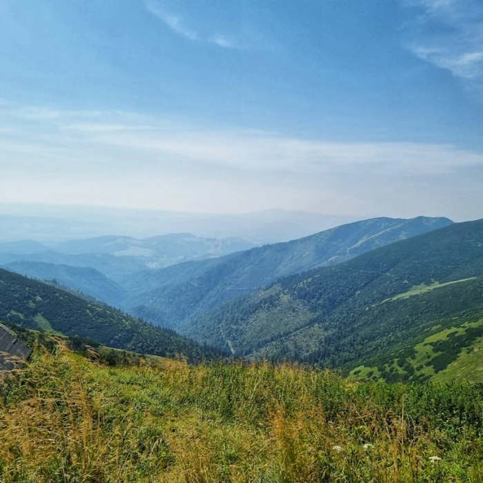 Discover the Best Local Bakeries in Slovakia: A Sweet Journey Awaits