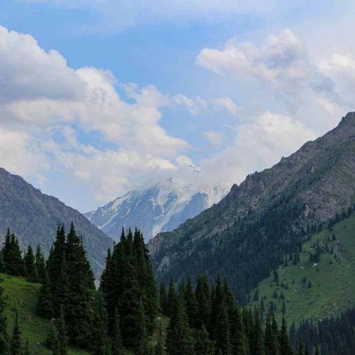 Unveiling Kazakhstan's Cultural Gems: A Deep Dive into Its Most Famous Theaters & Opera Houses