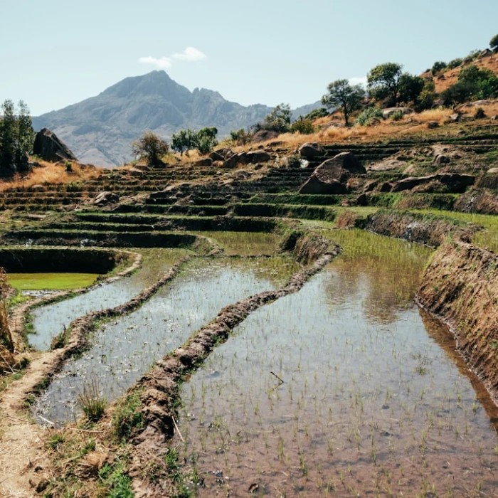 Madagascar's Exquisite Traditional Crafts: Your Ultimate Guide to Authentic Souvenirs