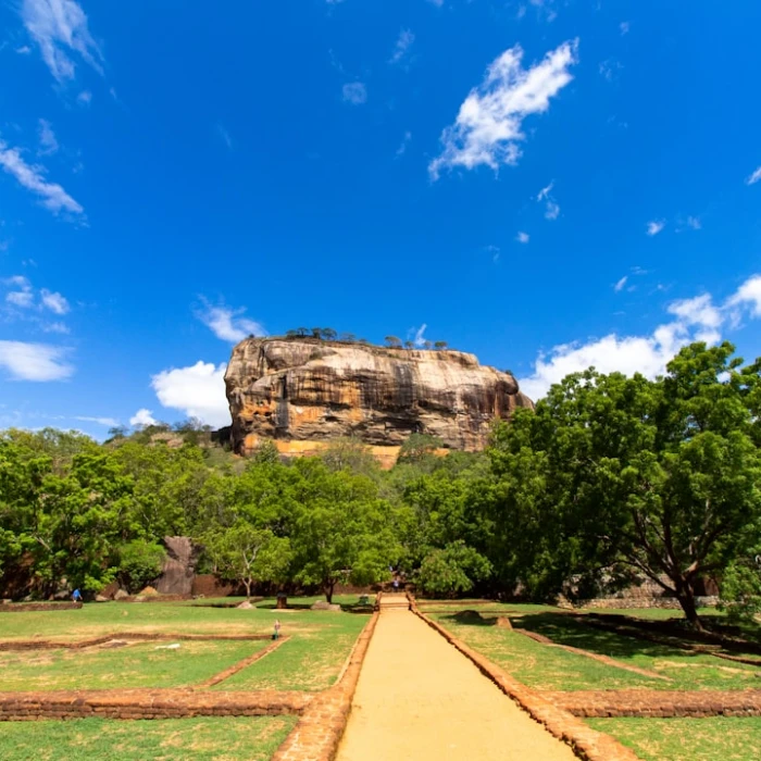 Your Easy Guide to Using Vending Machines in Sri Lanka