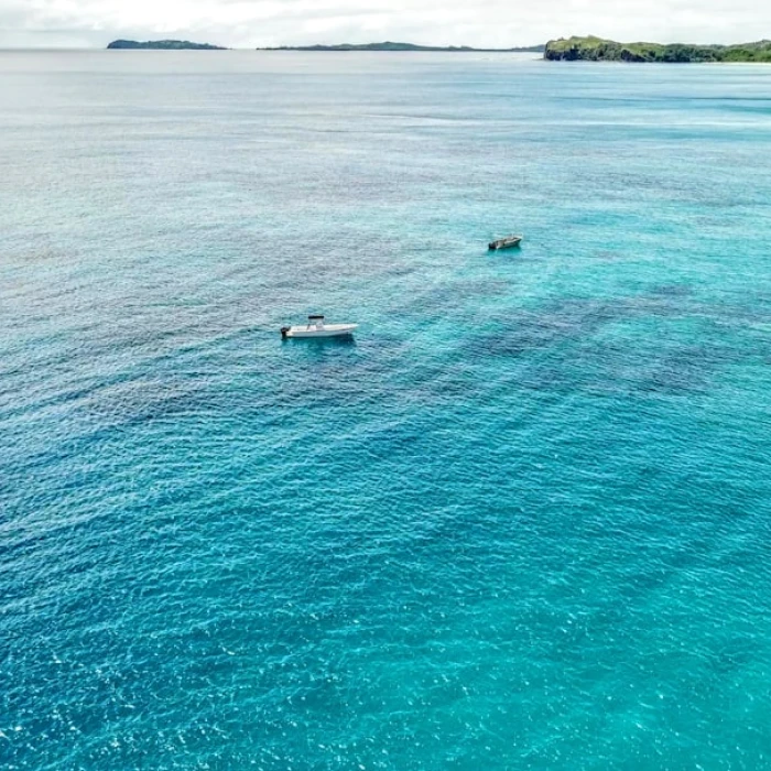 A Culinary Journey: Must-Try Traditional Dishes in Fiji