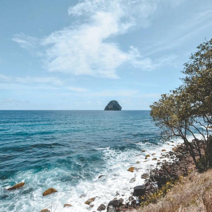 The Best Riverside Walks and Cruises in Martinique