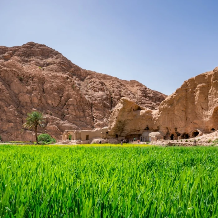 How to Volunteer Ethically While Traveling in Iran: A Responsible Traveler's Guide