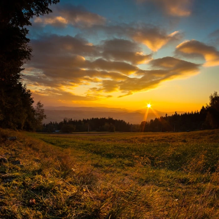 Discover Poland's UNESCO Treasures: A Guide to Its World Heritage Sites