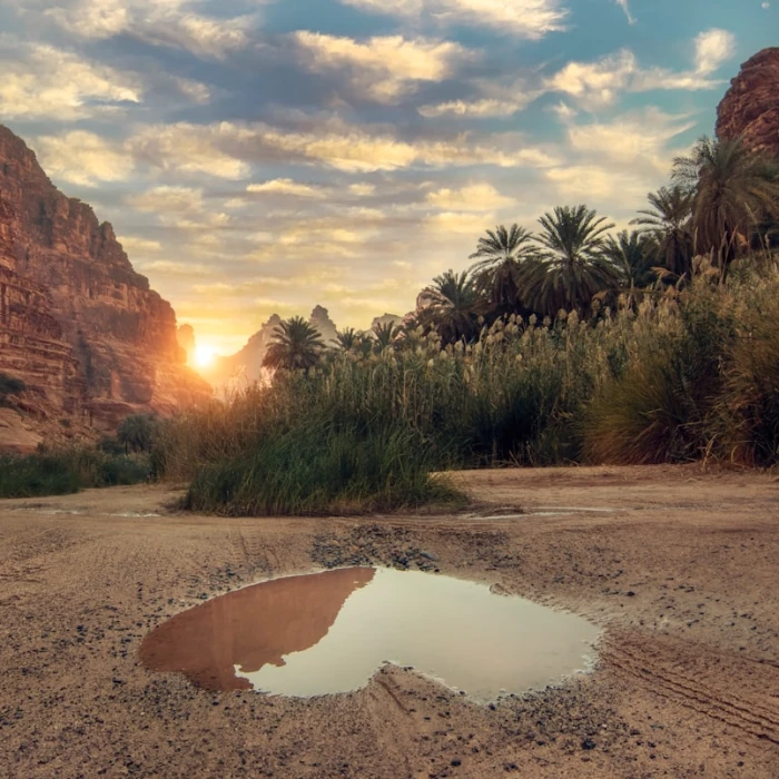 Top 7 Hidden Gems in Saudi Arabia You Won't Find in Guidebooks