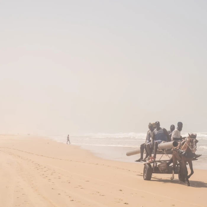 Discover Senegal's Coastal Beauty: Top Scenic Ferry Rides You Can't Miss