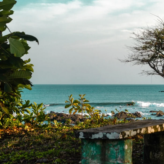 A Guide to Eco-Friendly and Sustainable Travel in Panama