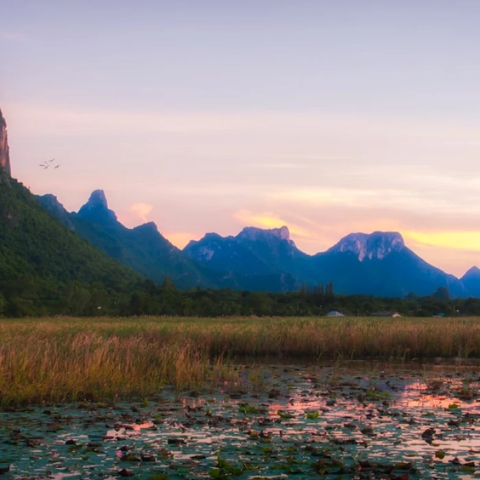 Discover Paradise: Your Ultimate Guide to Thailand's Most Beautiful Islands