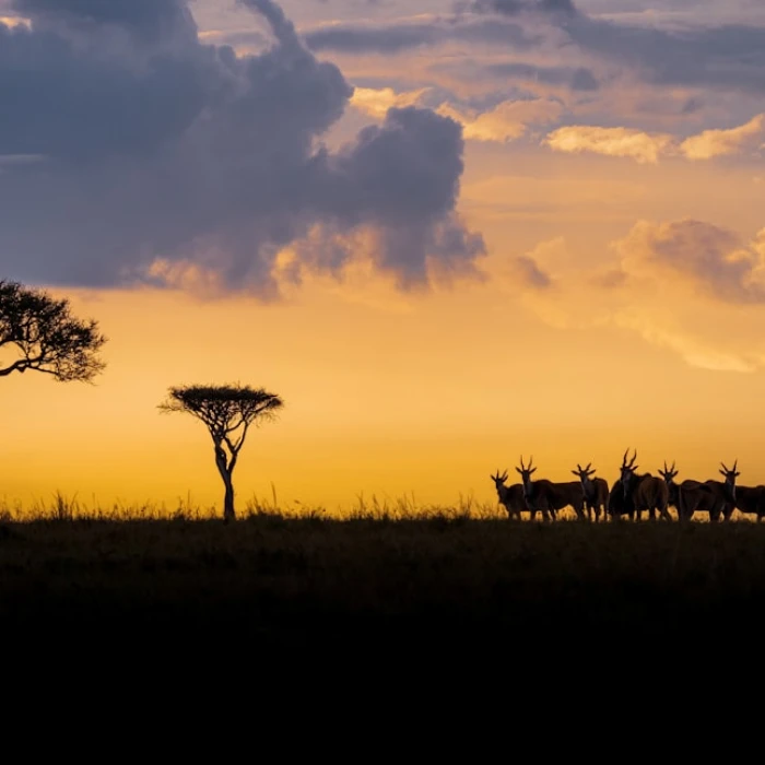 Discover Kenya's Iconic Fountains: A Traveler's Guide