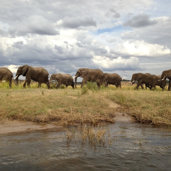 Navigating Public Toilets & Hygiene in Zambia: A Comprehensive Guide
